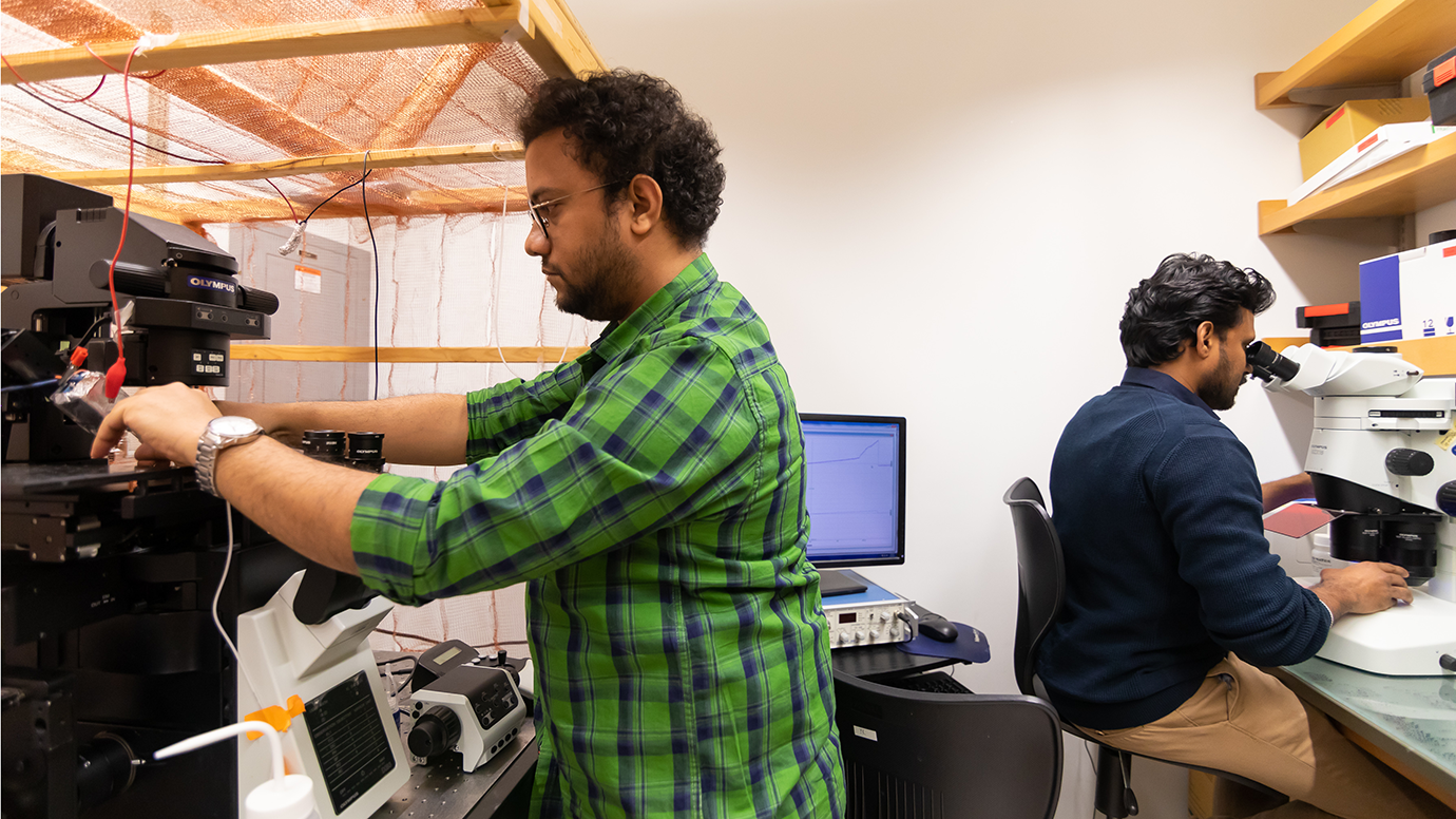 Students working in a lab