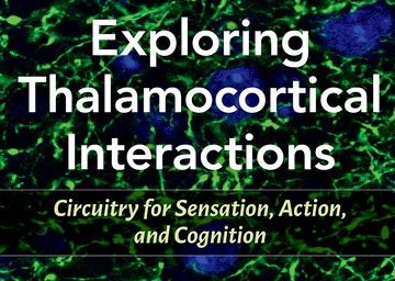 Exploring Thalamocortical: Interactions Circuitry for Sensation, Action, and Cognition