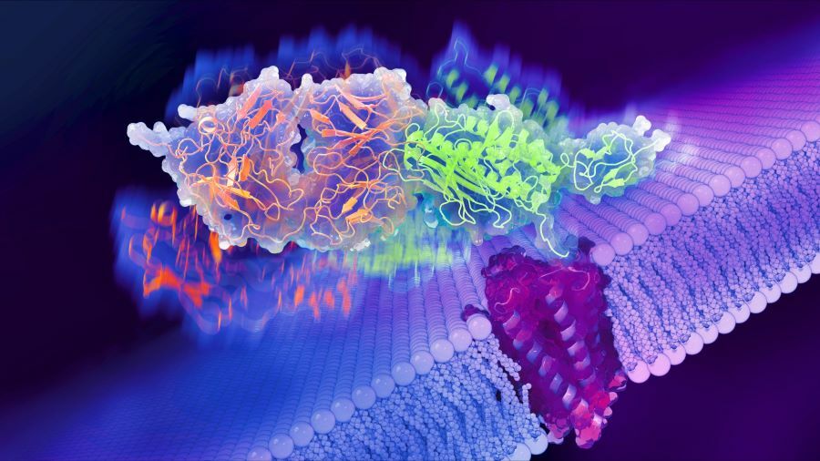 G protein-coupled receptors