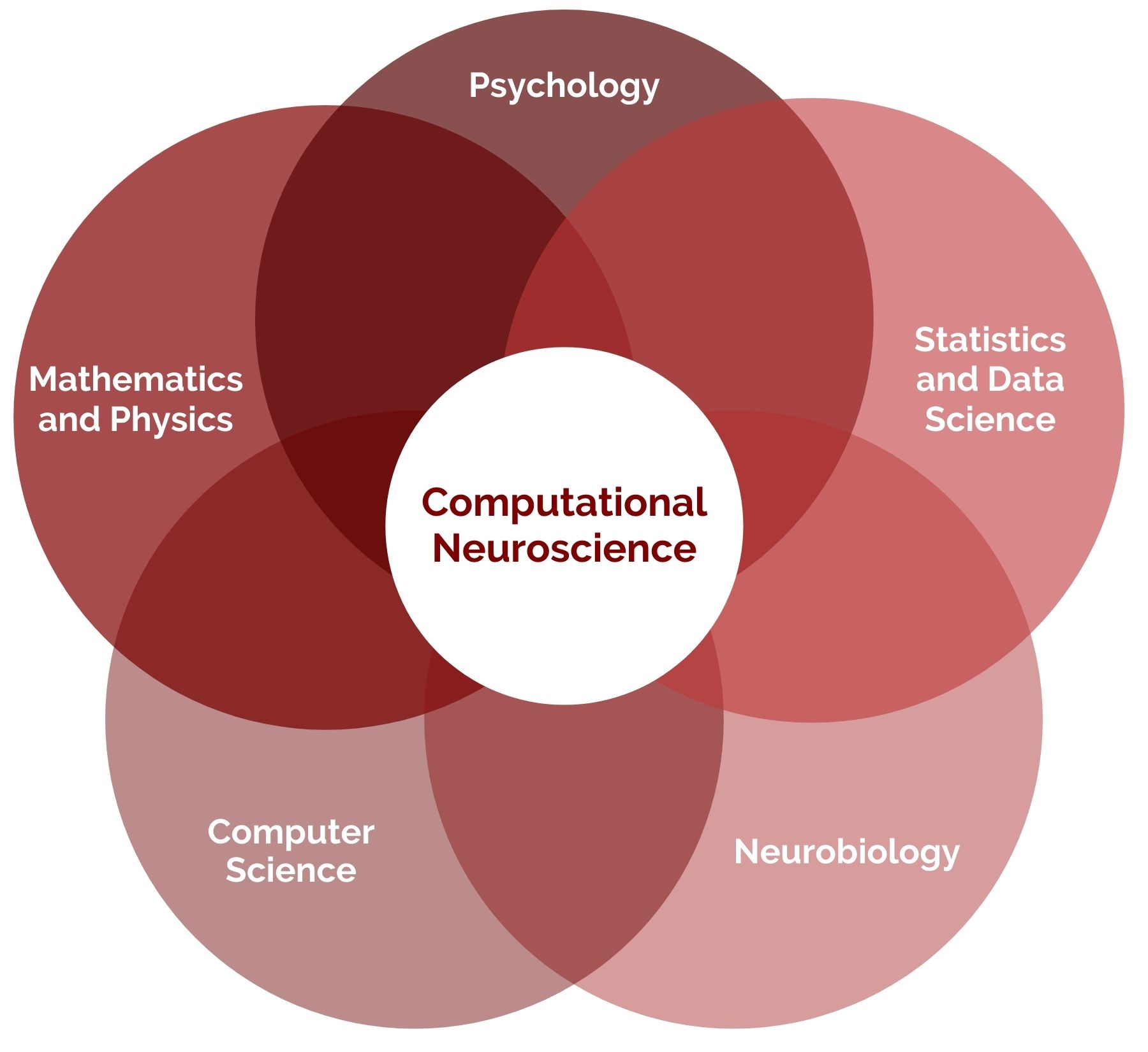 Computational Neuroscience Venn Diagram