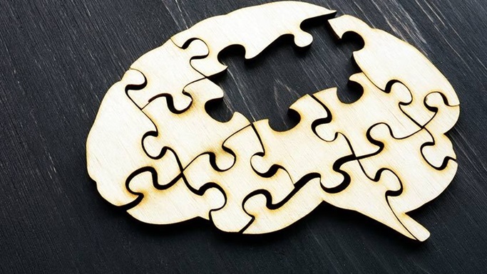 Brain Shaped Jigsaw Puzzle