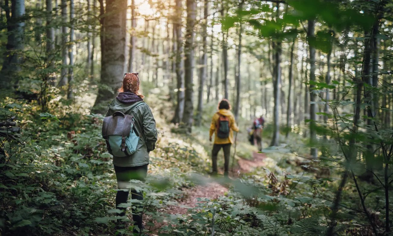 The nature cure: how time outdoors transforms our memory, imagination ...