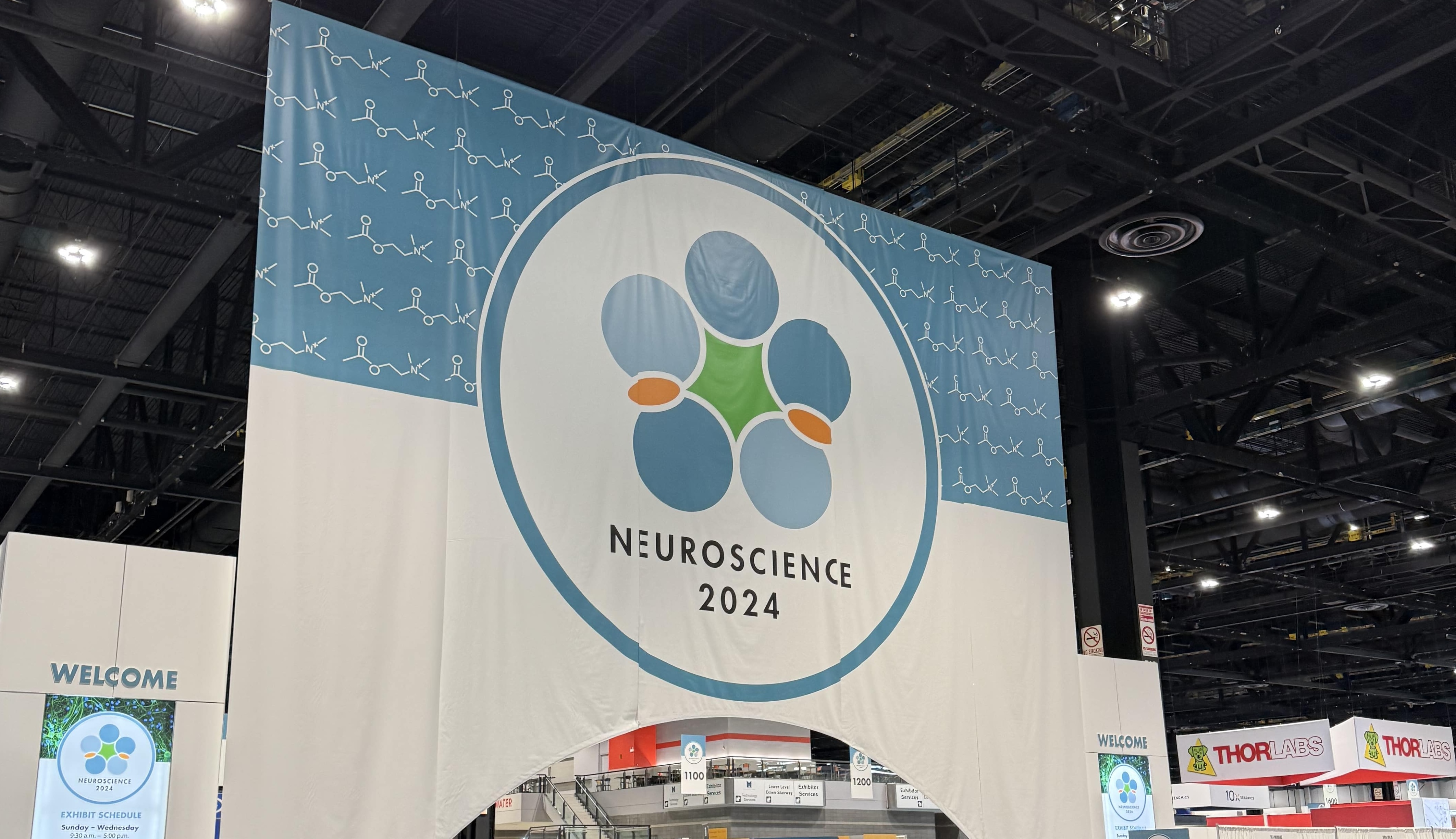 SfN 2024