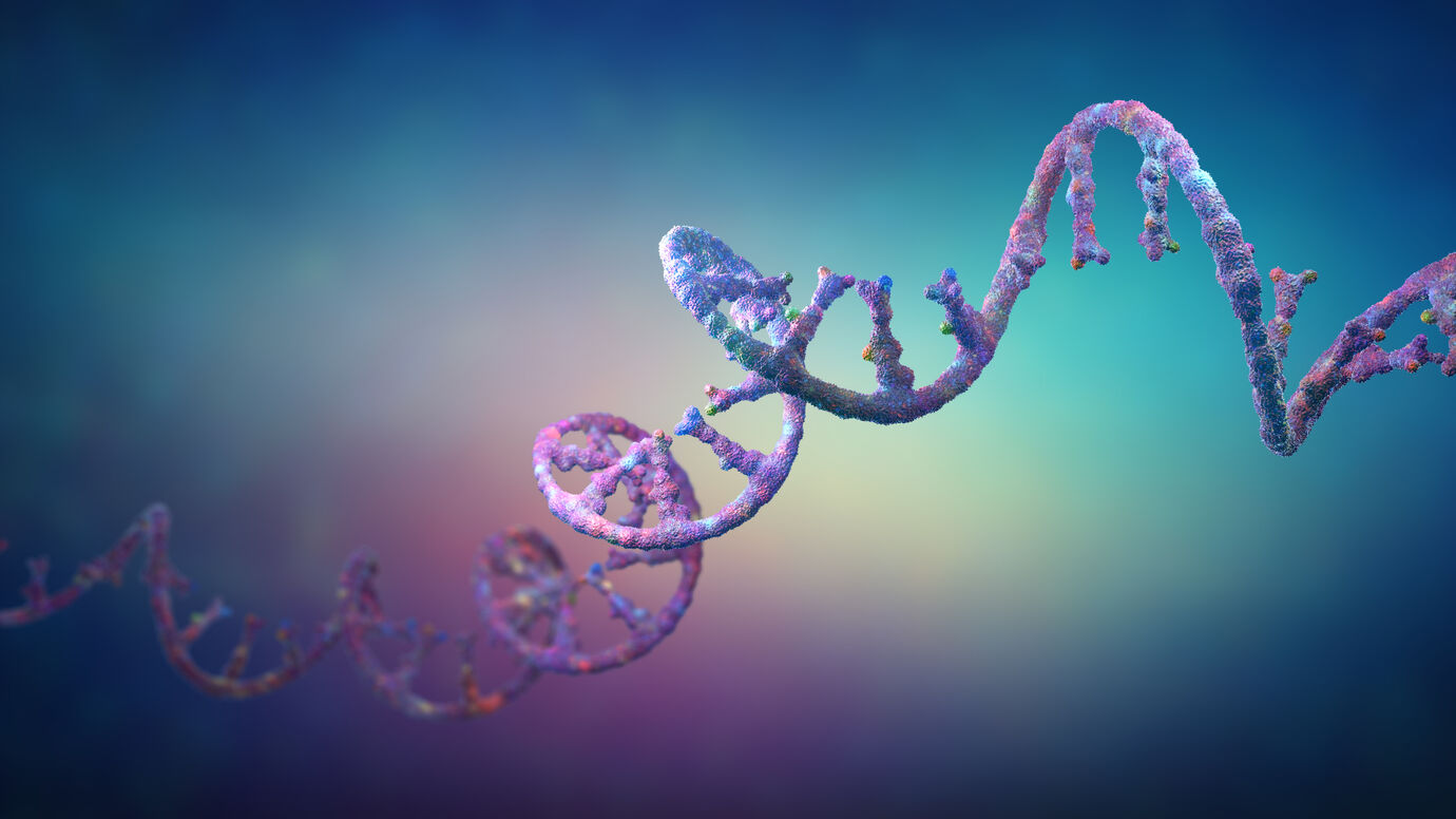 RNA stands
