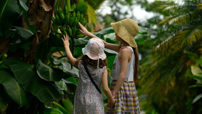 Two children touching a plant