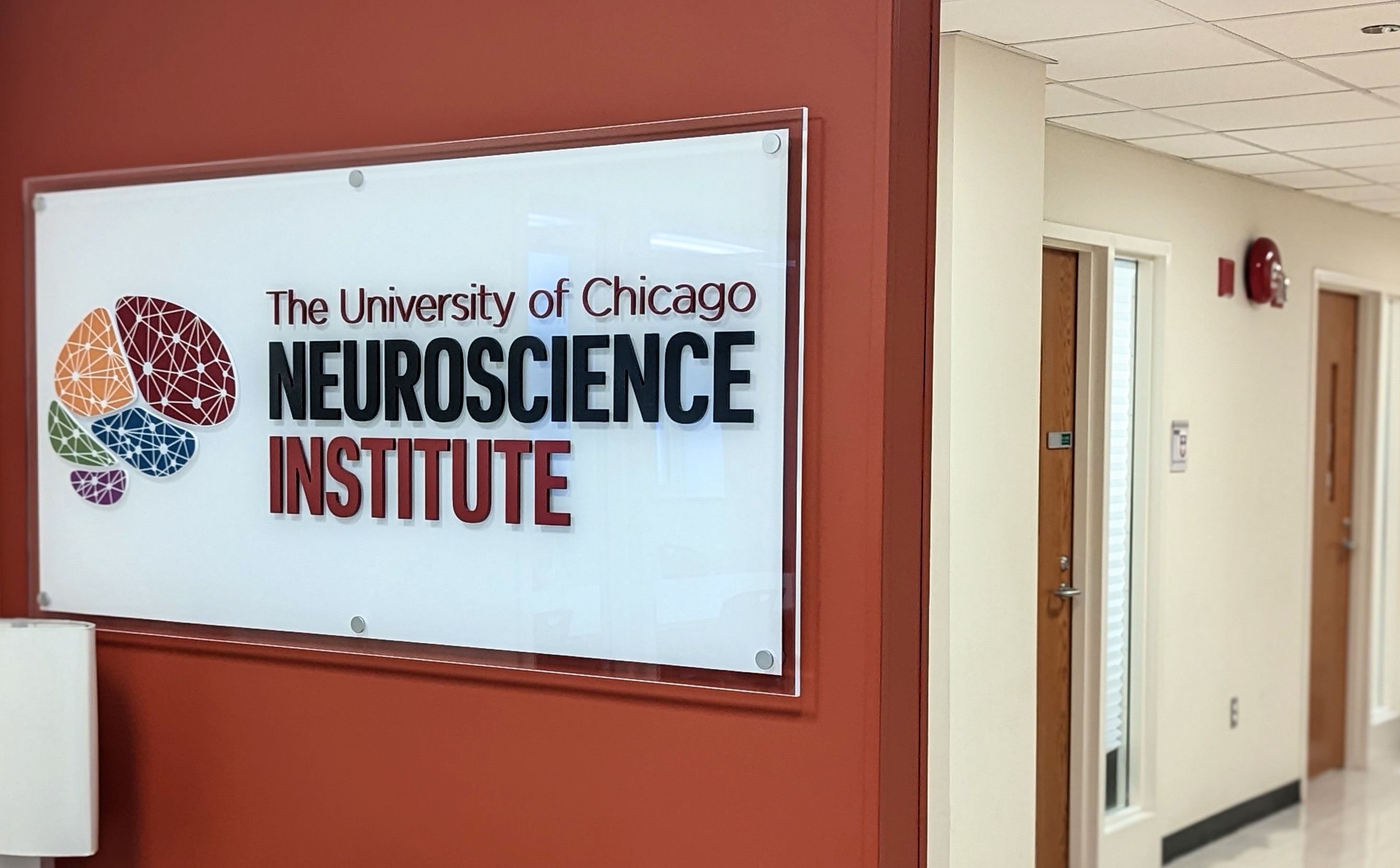 Neuroscience Institute