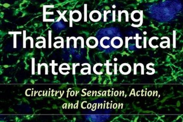 Exploring Thalamocortical: Interactions Circuitry for Sensation, Action, and Cognition