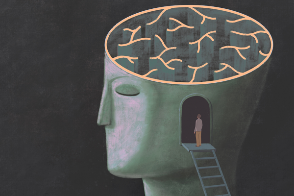 brain illustration