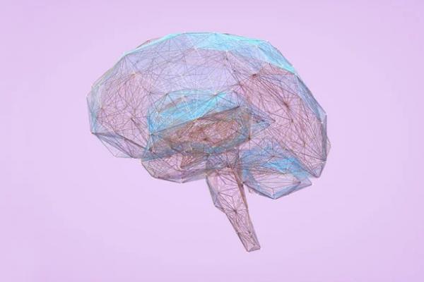 Digitized Brain Image