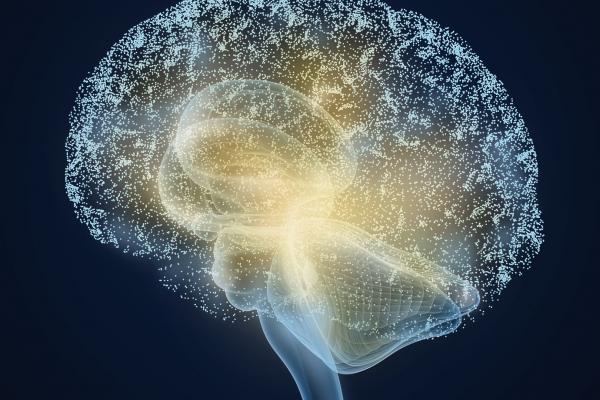 Brain illustration