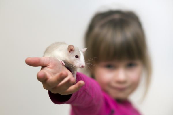 Girl holding a mouse