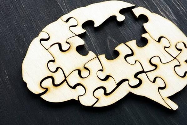 Brain Shaped Jigsaw Puzzle