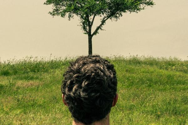 man looking at a tree