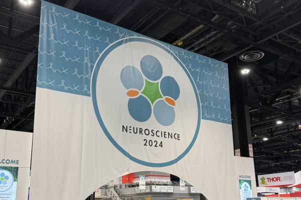 SfN 2024