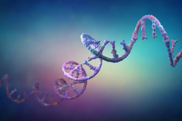 RNA stands