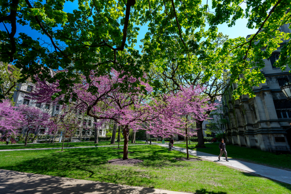 UChicago Quad