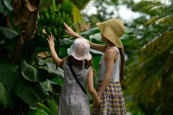 Two children touching a plant