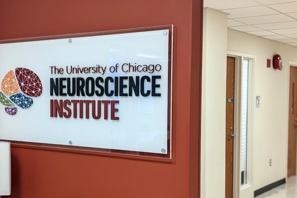 Neuroscience Institute board