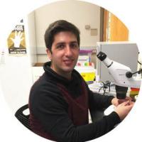filipe_goncalves_marques